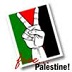 138 sì alla Palestina