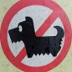A spasso con Fido?