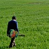 Viaggiare da soli II