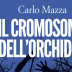 Si parla molto di opere d’arte che raccontano il nostro Sud. Ma come lo raccontano?
